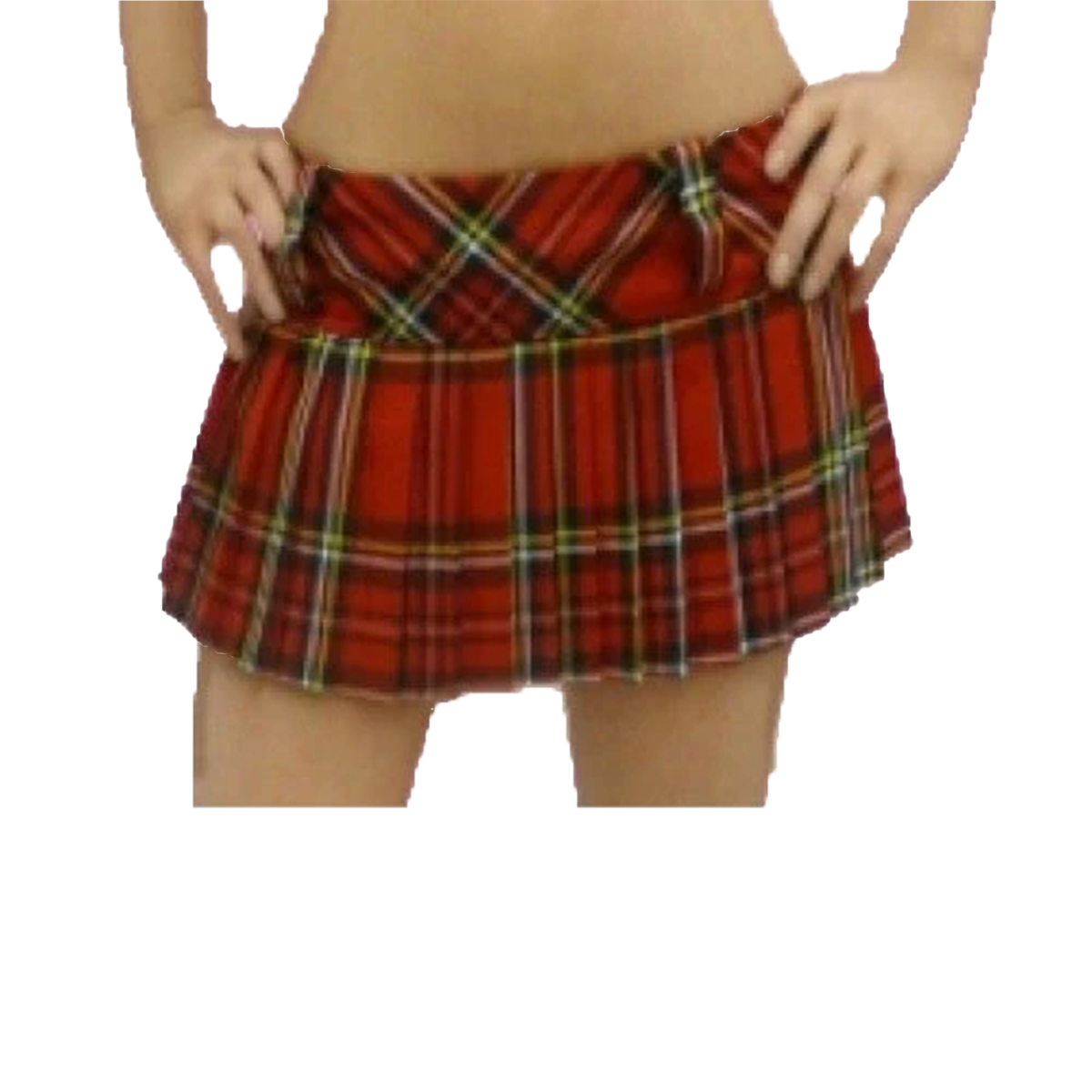 Women's Scottish 12 Inch Tartan Check Pleated Mini Skirt