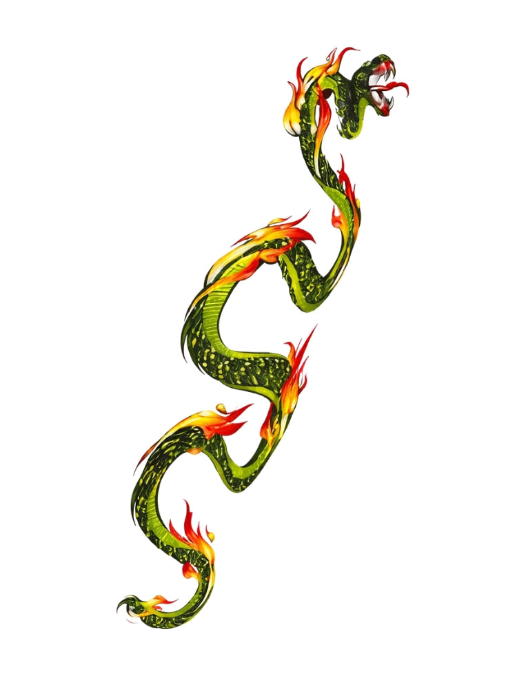 Colorful dragon illustration on a white background