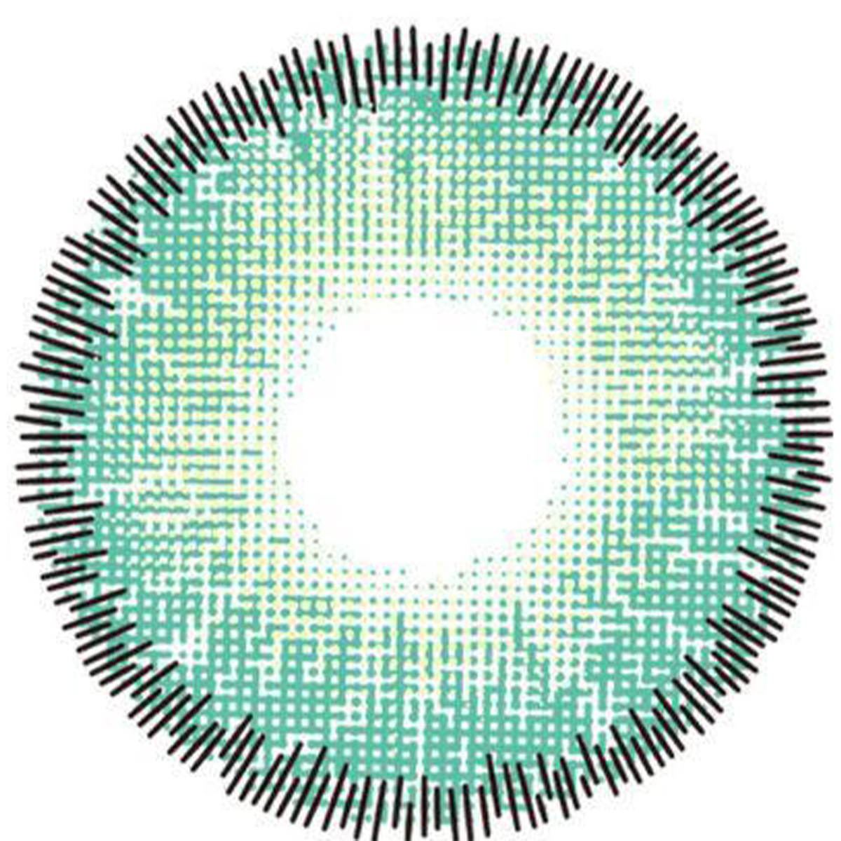 30 Day Fashion Lenses