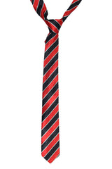 Men's Striped Printed Formal Wear Neck Tie Casual Accessory