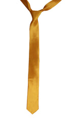 Men's Formal Wear Satin Plain Neck Ties Casual Accessory